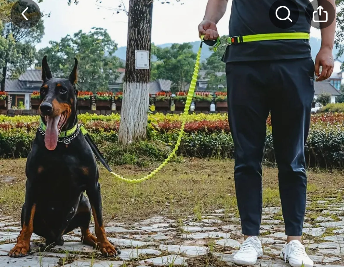 Reflective Running Dog Leash, Multifunctional Retractable Belt. Hands Free Dog Leash For Walking Jogging Hiking