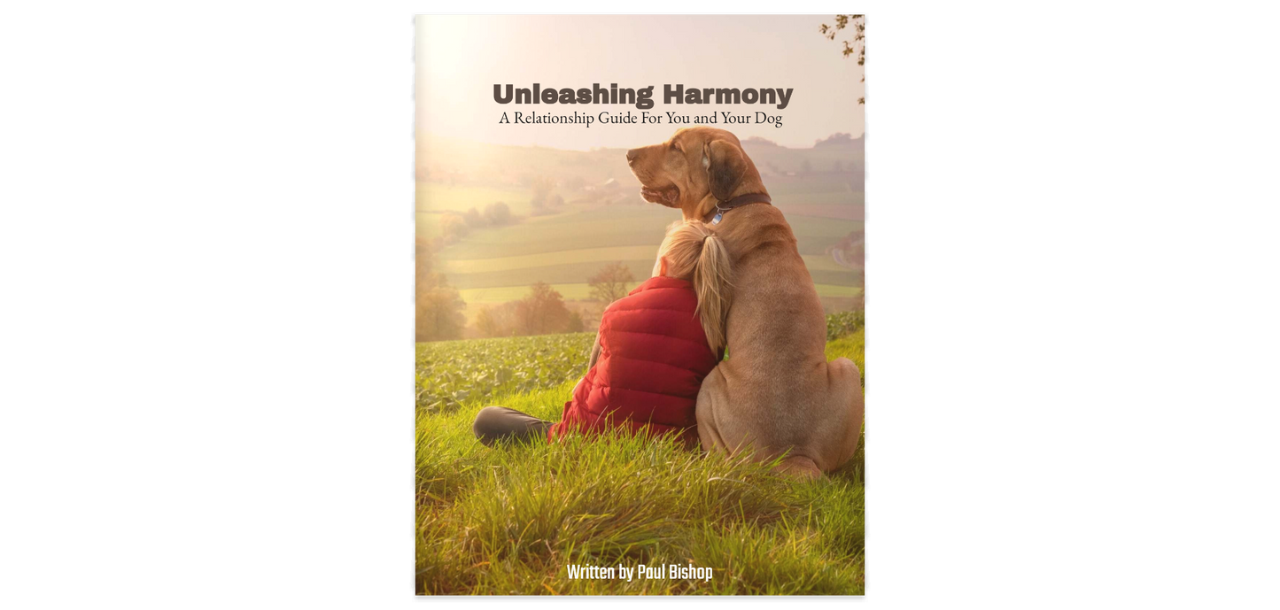Unleashing Harmony