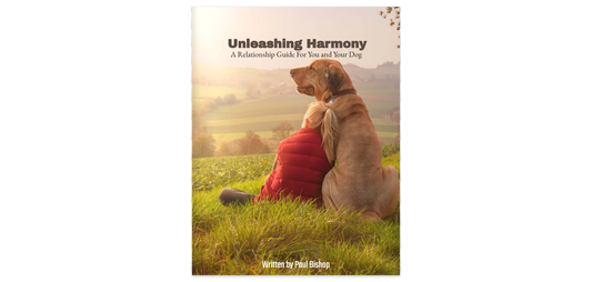 Unleashing Harmony