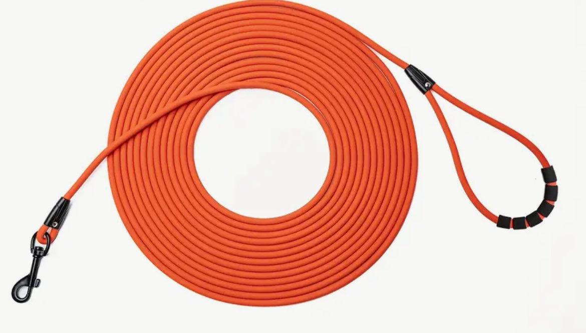 8m training lead