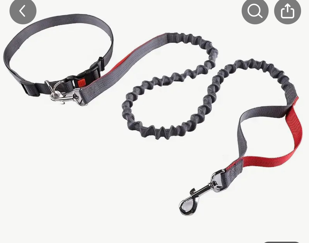 Reflective Running Dog Leash, Multifunctional Retractable Belt. Hands Free Dog Leash For Walking Jogging Hiking