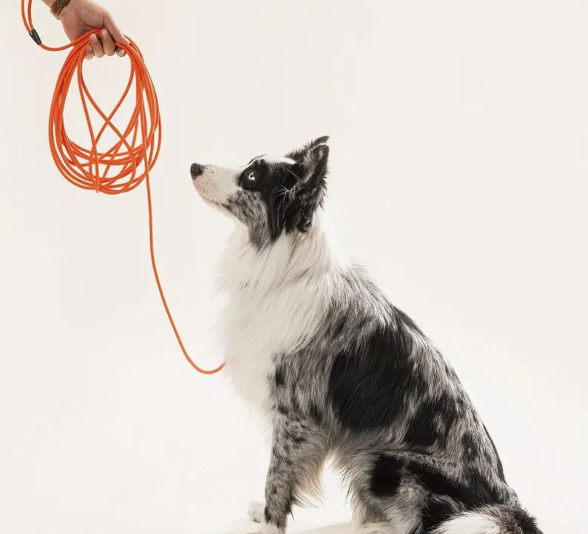 8m training lead