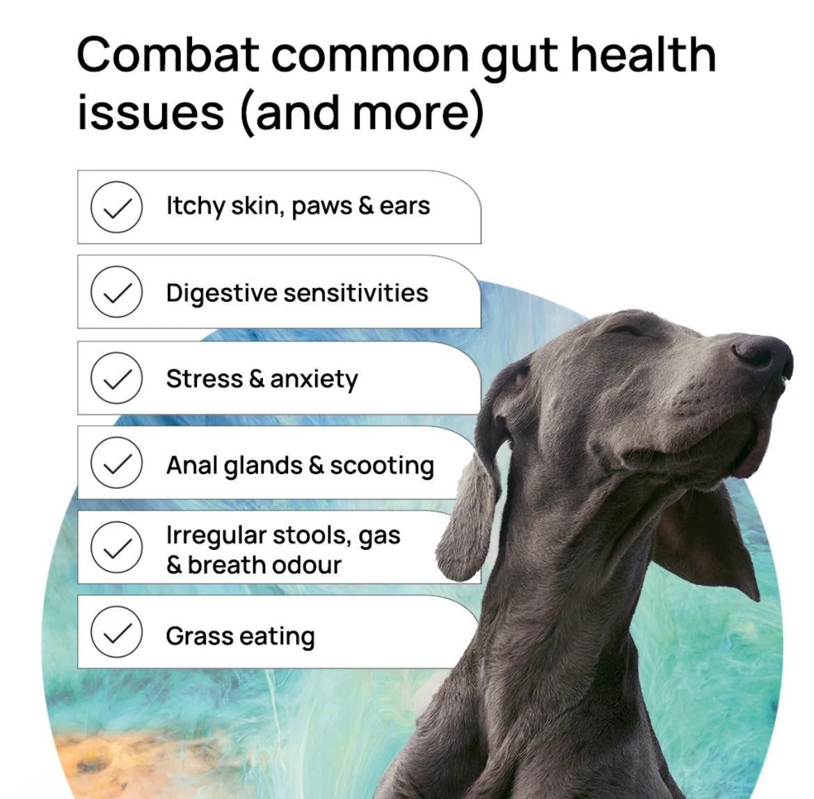 Biome 9 Gut Discovery Kit