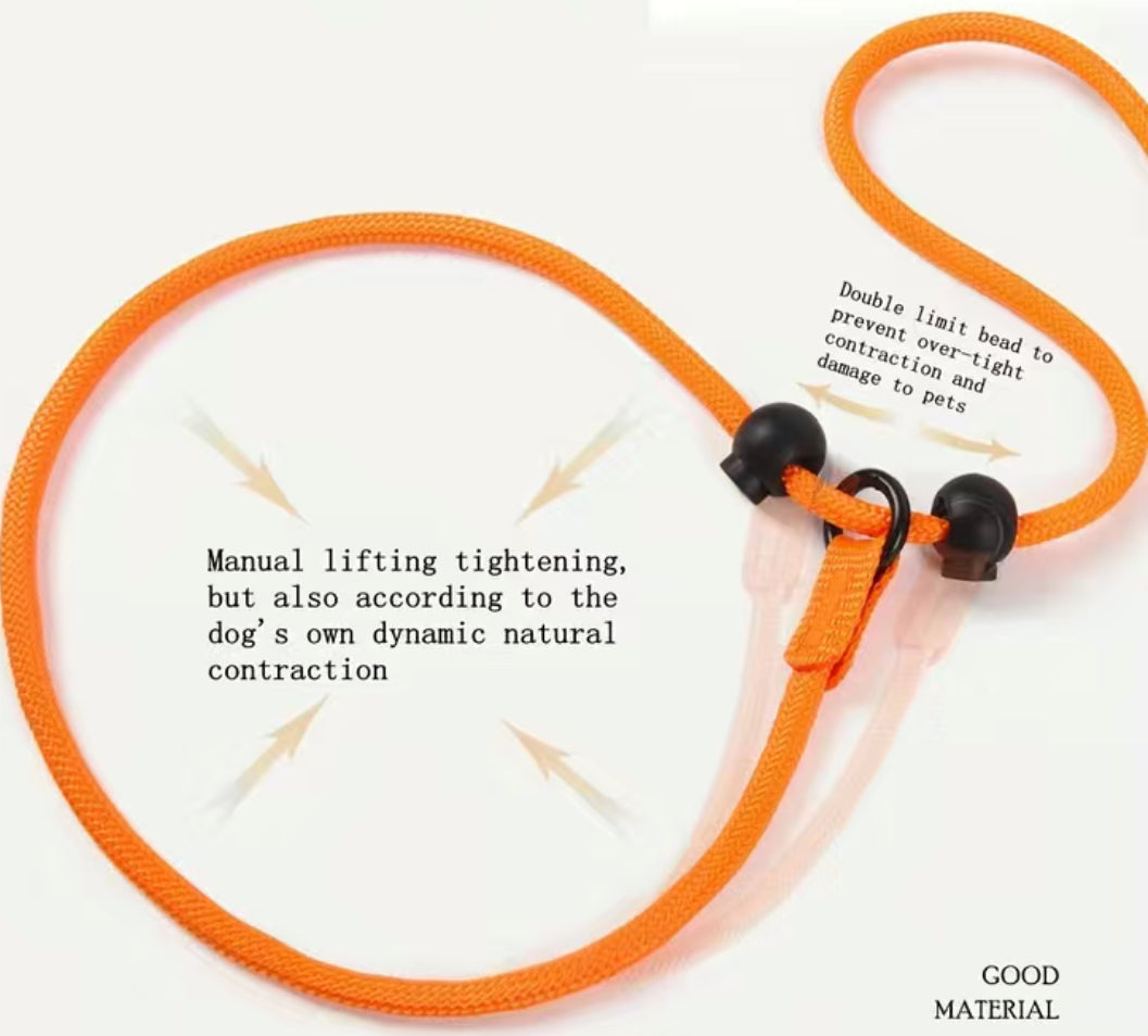 Dog lead, nylon for training. Slip Lead with double control handle.